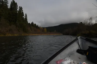 DSC_0204 (Large).JPG